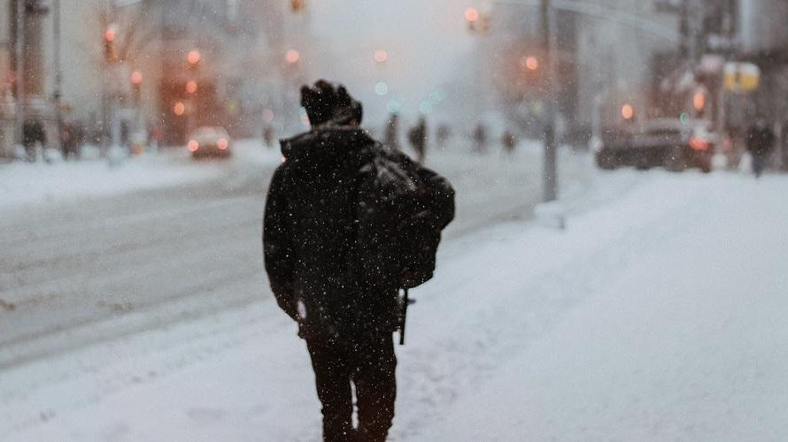 Festive Holiday Trousers From Berle